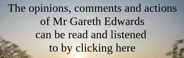 A link to the opinions, comments, and actions of Mr. Gareth Edwards